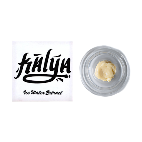 Kalya - MIMOSA X Z BERRIES - COLD CURE ROSIN